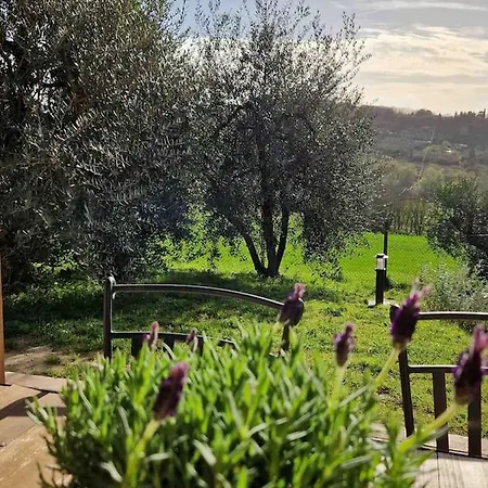 Apartment Panorama E Relax