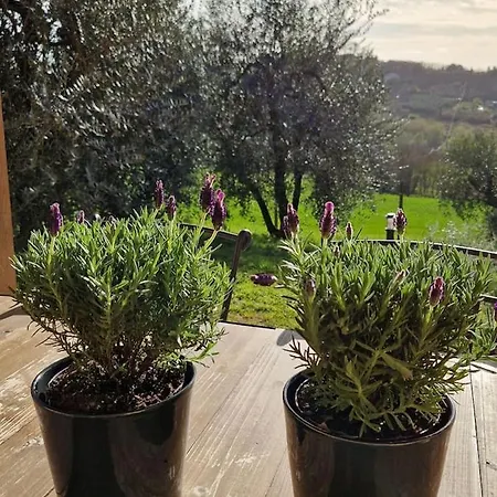 Panorama E Relax Apartment *